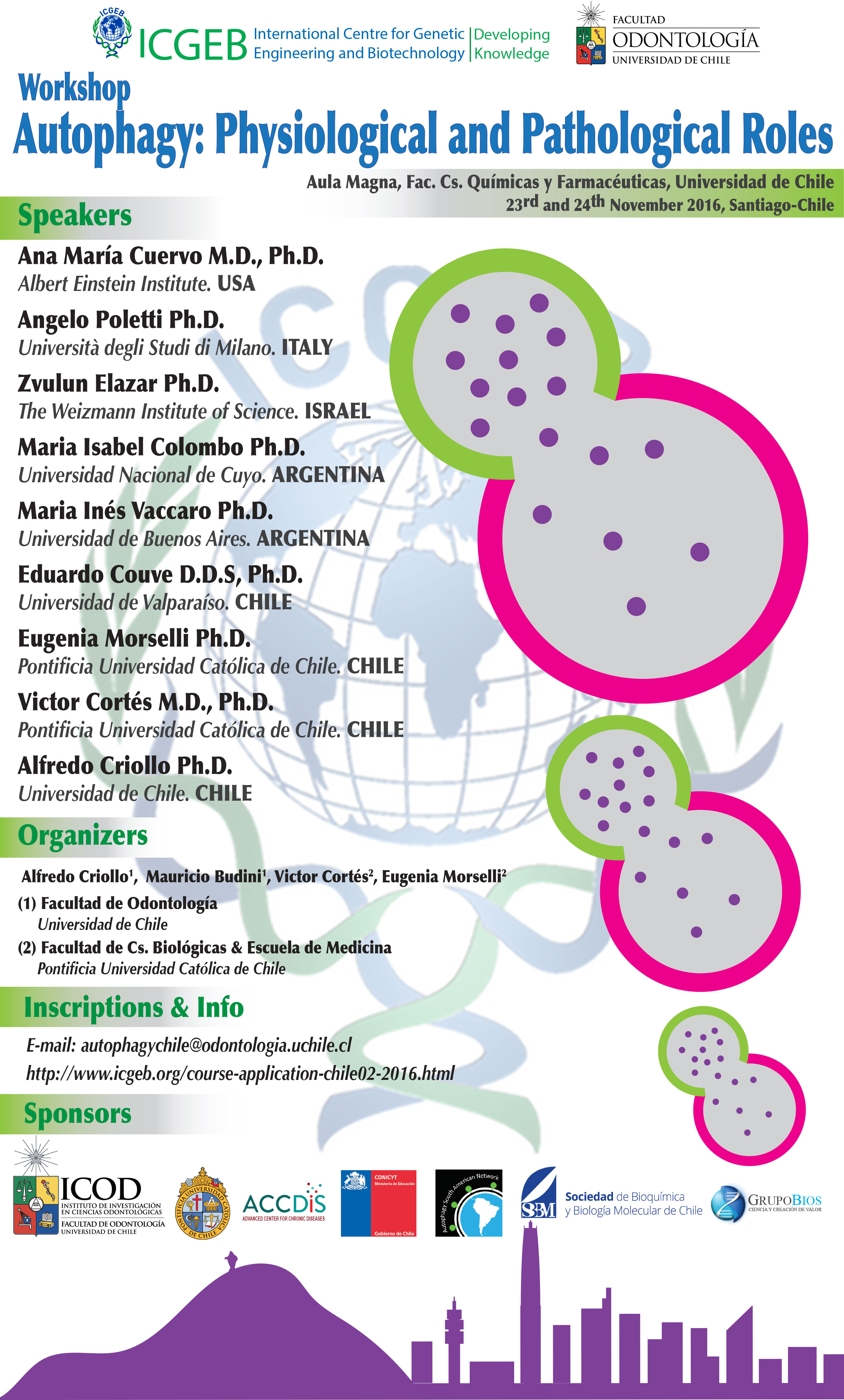 Flyer-ICGEB-Autophagy-Chile-(1)